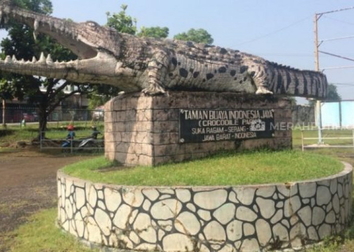 Wisata Tangerang: Taman Buaya Tanjung Pasir, Terlalu Menarik untuk Dilewatkan