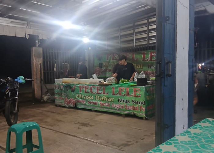 Rahasia Kelezatan Pecel Lele Mirasa Dahar Panimbang yang Bikin Pelanggan Selalu Kembali