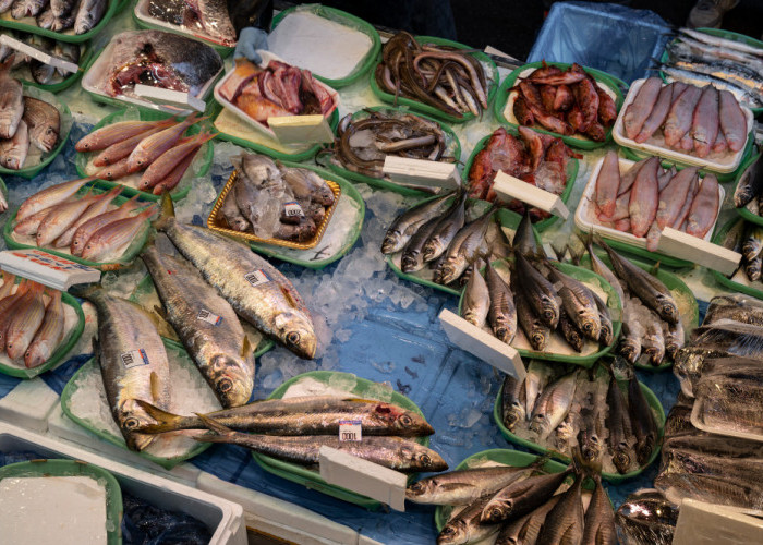 KUR BRI 2023 Untuk Usaha Jualan Ikan di Pasar