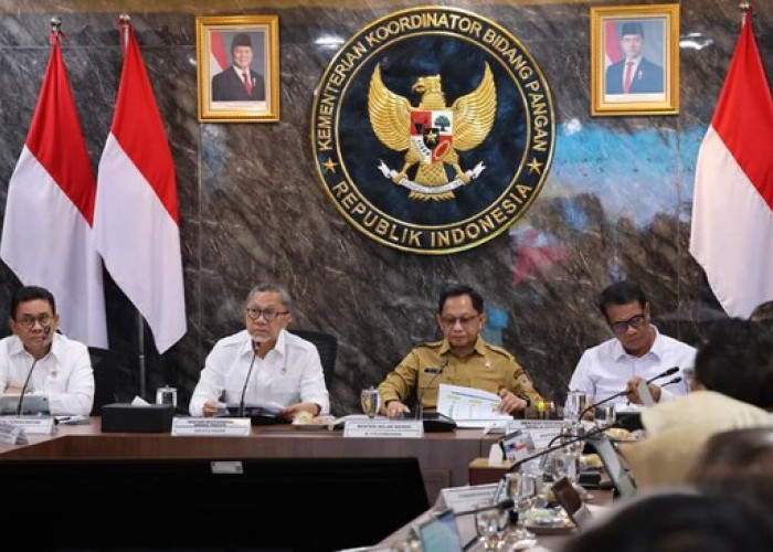 Harga Singkong Petani Naik, Mentan Amran Segera Siapkan Ekspor Mocaf  Baca artikel CNN Indonesia 