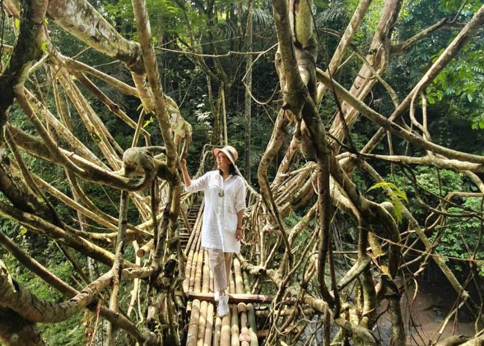 Uniknya Jembatan Akar Baduy, Salah Satu Spot Ikonik Bagi Wisatawan