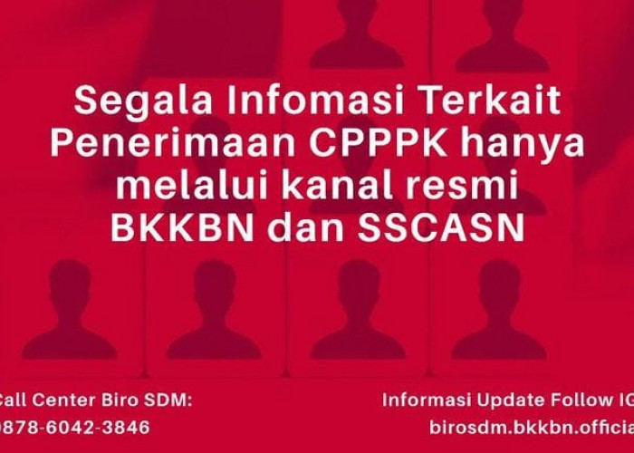 Link Pendaftaran CPNS 2023 BKKBN, Berikut Cara Daftarnya