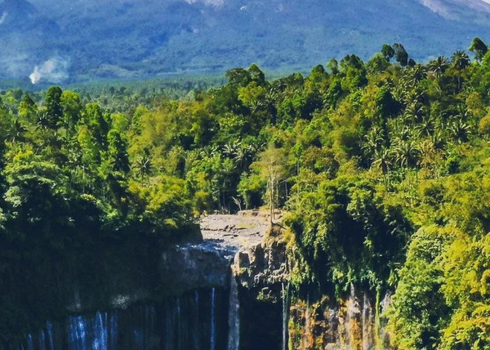 Ini 6 Rekomendasi Wisata Air Terjun yang Berada di Malang