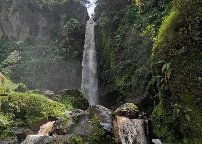 Menaklukkan Labirin Hingga Melihat Keindahan Air Terjun di Kawasan Wisata Coban Rondo Malang