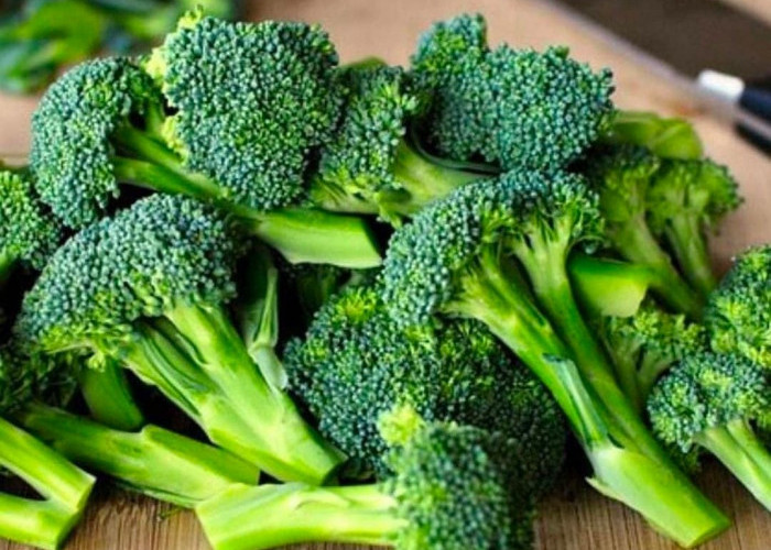 Orang Tua Wajib Tau Konsumsi Brokoli Banyak Manfaat Untuk Anak