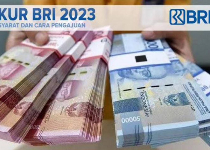 Punya Usaha dan Butuh Modal? Bisa Dapat Rp50 Juta Dari KUR BRI 2023