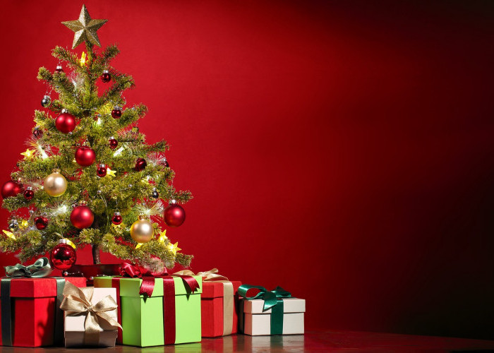 Manfaat Pohon Natal Cemara dan Pinus Asli Bagi Kesehatan Tubuh, Hindari Pohon Berbahan Plastik