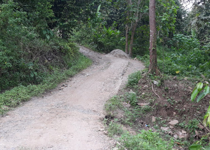 Warga Desa Cikedung Harapkan Jalan ke Desanya Dibeton 