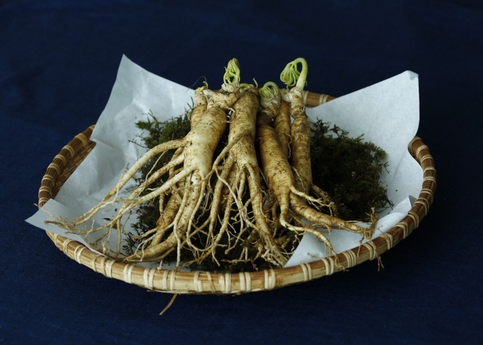 Manfaat Ginseng untuk Kesehatan, Nomor 3 Beberapa Pria Membutuhkannya