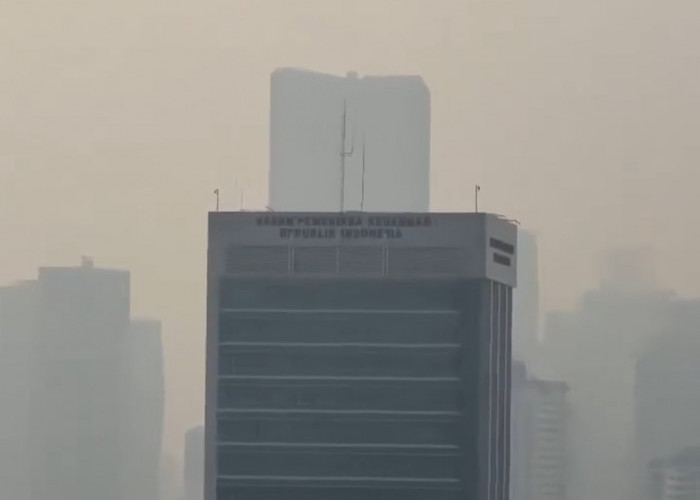 Langit Jakarta Tampak Kelabu, BMKG Jelaskan Fakta Asap Karhutla dan Citra CO NASA