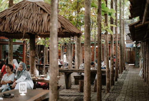 Kafe Kebun Latte, Sensasi Ngopi di Tengah Rindangnya Pohon Jati