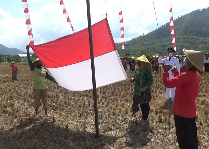 Usai HUT ke-81 RI, Benarkah Kemerdekaan Sudah Terasa di Kantong Rakyat?