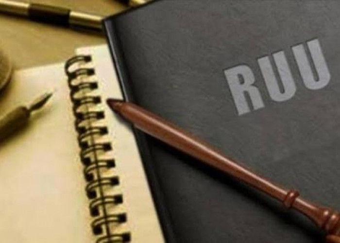 RUU Reforma Agraria Masuk Paripurna Hari Ini, Ini Perubahan yang Perlu Diketahui Masyarakat