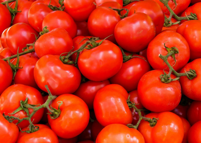 6 Manfaat Tomat untuk Kesehatan Tubuh, Bisa Cegah Kanker Prostat
