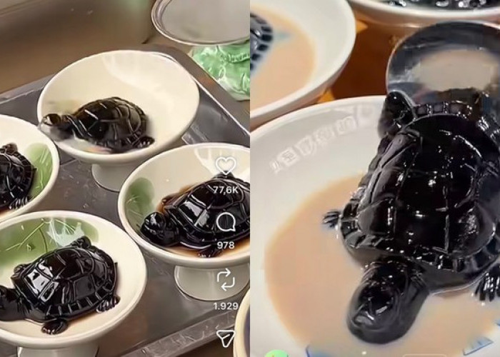 Mengenal Guilinggao, Jeli Herbal Khas China Bentuk Kura-Kura Unik yang Viral