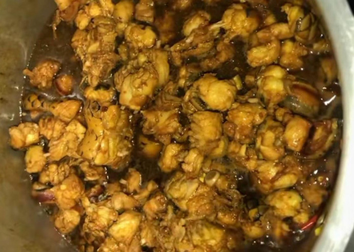 Di Luar Ekspektasi, Orang Ini Masak Semur Ular Piton, Netizen Sudah Pasti Komentar