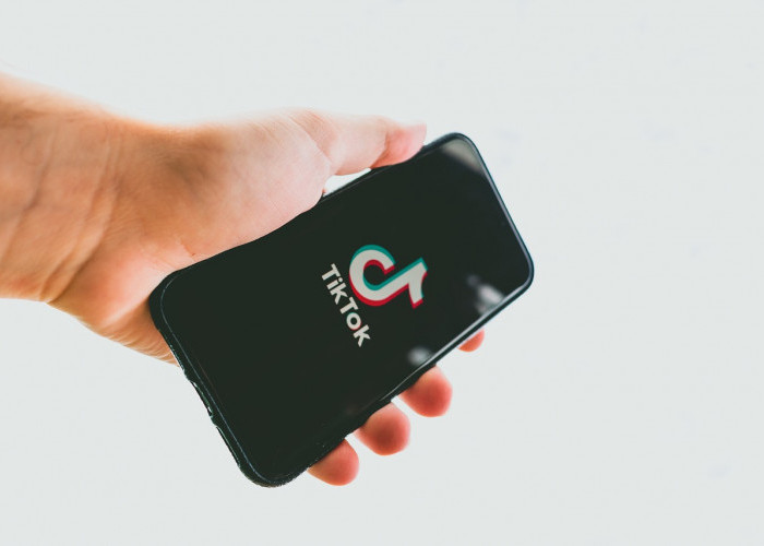 TikTok Wrapped 2024: Cara Mengakses Statistik Wrapped Anda di TikTok