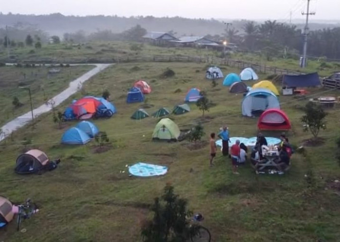 Selain Bisa Metik Buah, Wisatawan Bisa Camping Ground Agrowisata Agrinex di Cikeusik