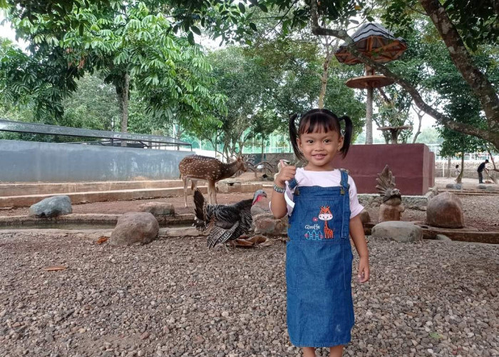 Punya Kebun Binatang dan Kolam Renang, Tempat Wisata di Serang Cocok Untuk Liburan Anak-anak