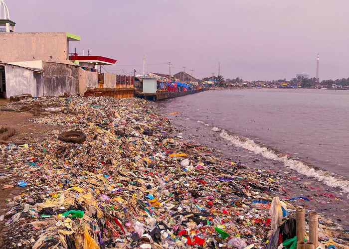 Pernah Dibersihkan Pandawara Group, Pantai Pandeglang Konsisten Kembali Dipenuhi Sampah