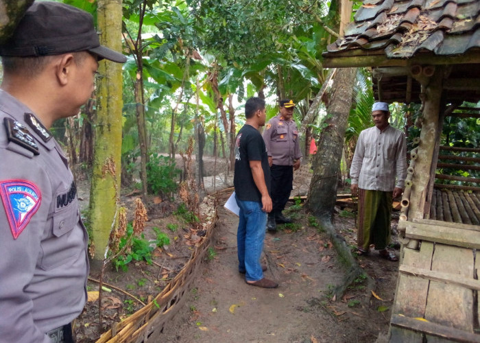 Belasan Kambing di Lebak Dicuri, Langsung Disembelih di Kandang 