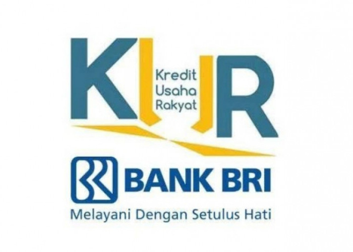 Kuartal 2 KUR BRI 2023 Sudah Dibuka