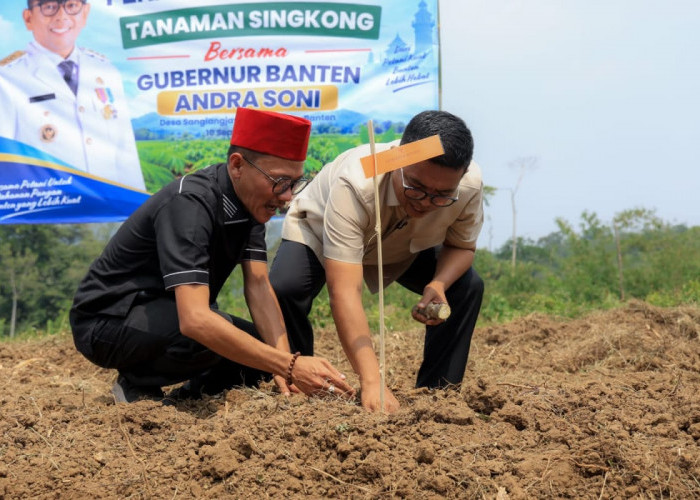 Dukung Petani Singkong Lebak, Gubernur Banten Siapkan Perbaikan Jalan dan Akses Pupuk