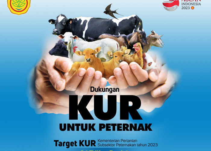 KUR BRI 2023 Siapkan Bantuan Hingga Rp500 Juta, Para Peternak Bahagia