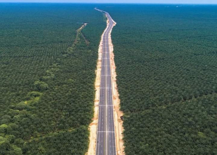 Gajah pun Dibuatkan Jalur Khusus di Jalan Tol Pekanbaru - Dumai