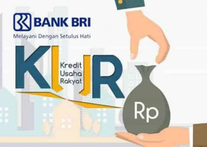 KUR BRI 2023 Jadi Alokasi Dana KUR Nasional Terbesar, Peluang Pengajuan Berhasil Tinggi, Cek Angsurannya