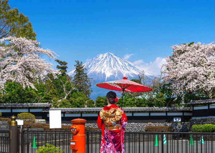 Rekomendasi Tempat Wisata Jepang Bunga Sakura yang Indah Banget 