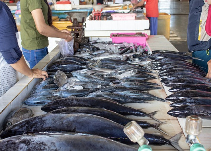 Pinjaman Modal yang Cocok untuk Peternak Ikan, Cek Pada Tabel Angsuran KUR BRI 2023