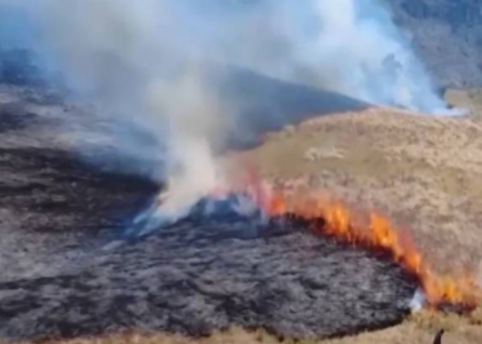 Lahan Terbakar di Gunung Bromo Terus Meluas, BNPB Intensifkan Upaya Pemadaman