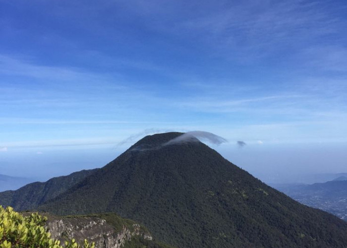 Jalur Pendakian Gunung Gede-Pangrango Ditutup Sepekan Akhir Juli