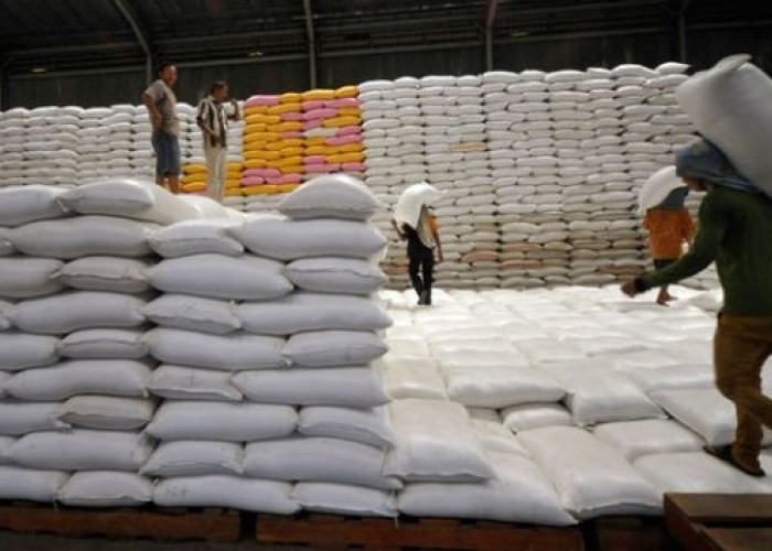 Stok Beras Nasional Jadi Sorotan, Stabilitas Harga Pangan Masih Perlu Dijaga