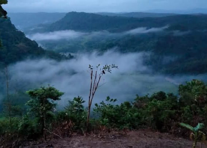 Keindahan Wisata Bukit Layung Genteng Paska yang Tidak Orang Tahu, Alternatif Pengganti Negeri Diatas Awan