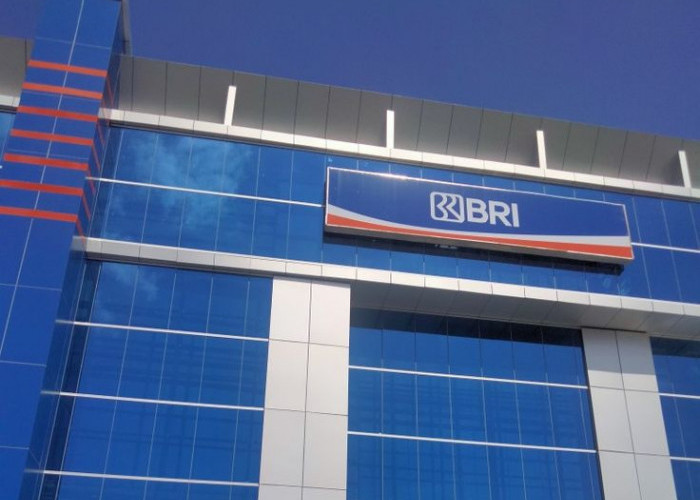 BRI Siap Gas Pembiayaan UMKM, Dana SAL Pemerintah Jadi Penguat Likuiditas Bank