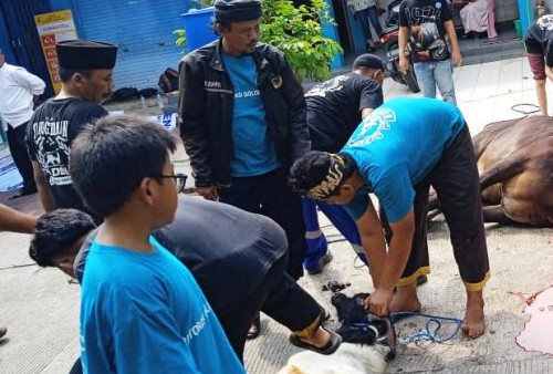 PWI Kabupaten Tangerang Potong Satu Ekor Sapi Untuk Wartawan dan Warga 