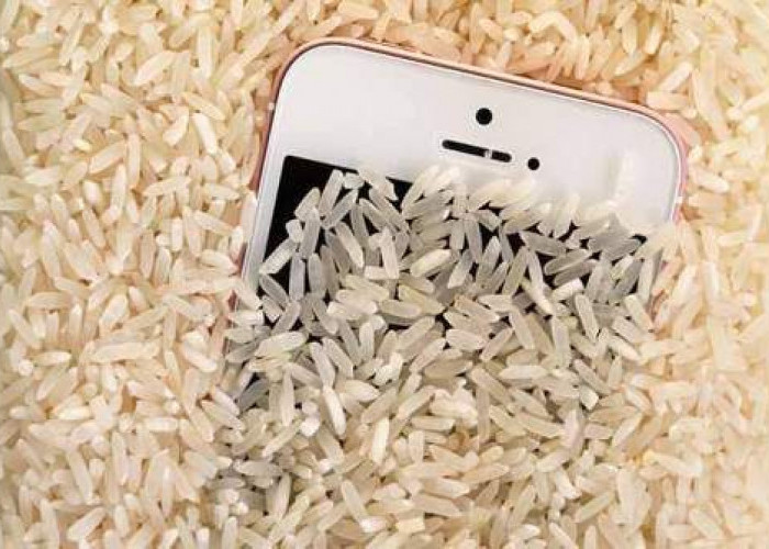 Survei Ungkap 29 Persen Pengguna Smartphone Masih Suka Rendam HP Pakai Beras Saat Kena Air, Begini Penjelasan 