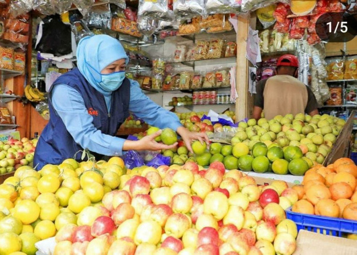 Liburan ke Agro Wisata Apel Pujon, Bisa Panen Apel Malang Sepuasnya