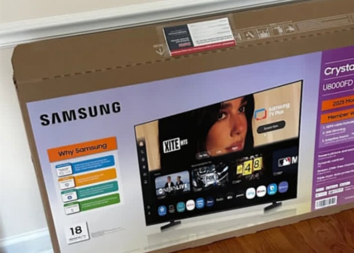Samsung Digugat Rp245 Miliar oleh Dua Lipa, Diduga Pakai Foto Tanpa Izin untuk Kemasan TV