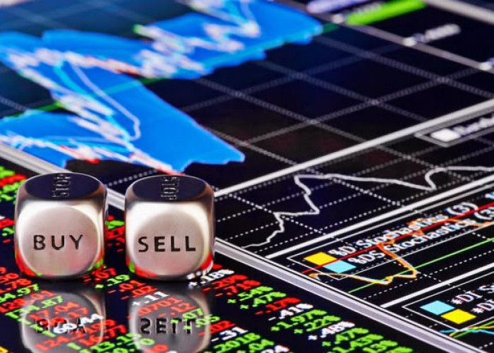 Jangan Sampai Salah Pilih! Tips Memilih Exchange Crypto yang Aman untuk Pemula 2026