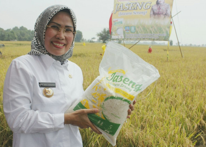 Ratu Tatu Raih Satyalancana Wira Karya Bidang Pertanian dari Presiden Jokowi