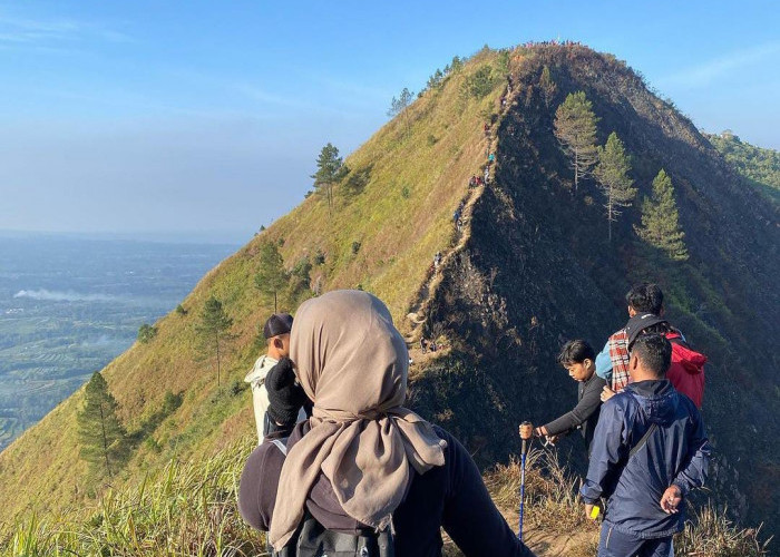 Ramah Bagi Pendaki Pemula, Ini 5 Gunung Terendah di Indonesia yang Memiliki Pemandangan Indah Luar Biasa 