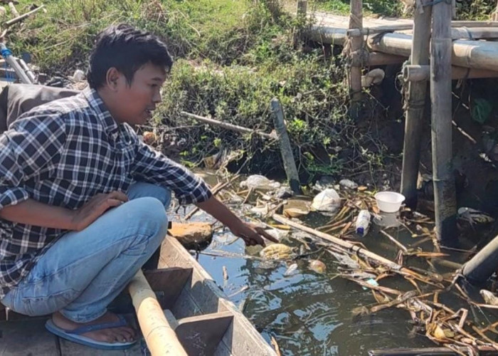 Sungai Ciujung Diduga Tercemar Limbah Industri, Ikan Banyak yang Mati