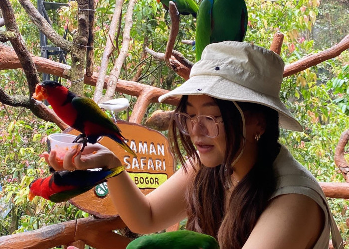 Tips Berkunjung ke Taman Safari di Bogor, Nikmati Petualangan dengan Berbagai Satwa Liar