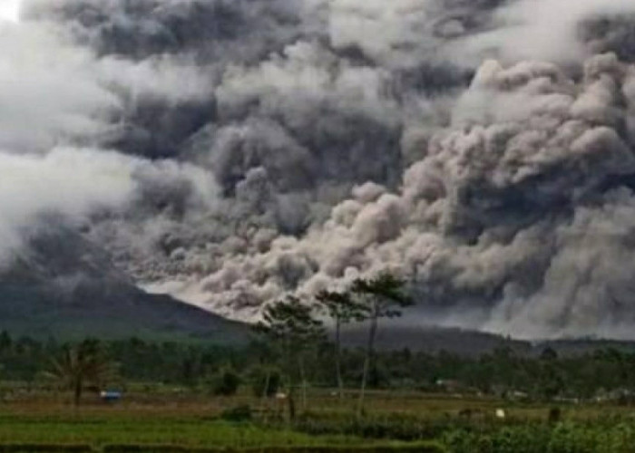 Gunung Semeru Alami Erupsi, Tinggi Kolom Abu Capai 1,5 Kilometer