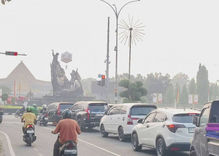 Asap Karhutla Melonjak di Riau, Kasus ISPA Tembus 11 Ribu dan Sekolah Terapkan PJJ