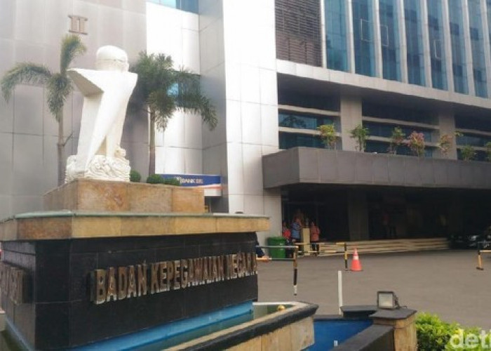BKN Buka Program Magang Mahasiswa dan Fresh Graduate, Buruan Daftar!