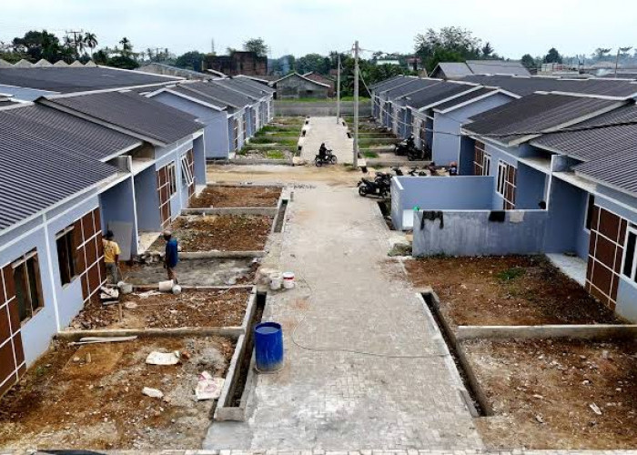 Danantara Housing Expo 2026 Dibuka, Benarkah Rumah Kini Lebih Terjangkau untuk Anak Muda?